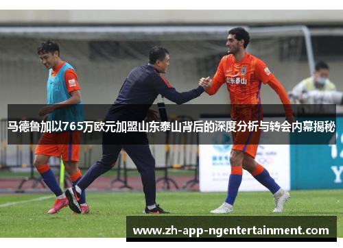 马德鲁加以765万欧元加盟山东泰山背后的深度分析与转会内幕揭秘 马德鲁加以765万欧元加盟山东泰山背后的深度分析与转会内幕揭秘
