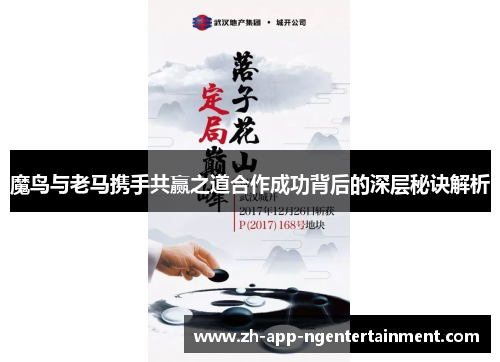魔鸟与老马携手共赢之道合作成功背后的深层秘诀解析