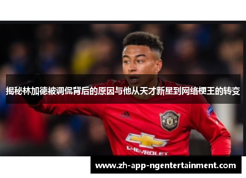 揭秘林加德被调侃背后的原因与他从天才新星到网络梗王的转变