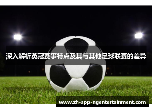 深入解析英冠赛事特点及其与其他足球联赛的差异