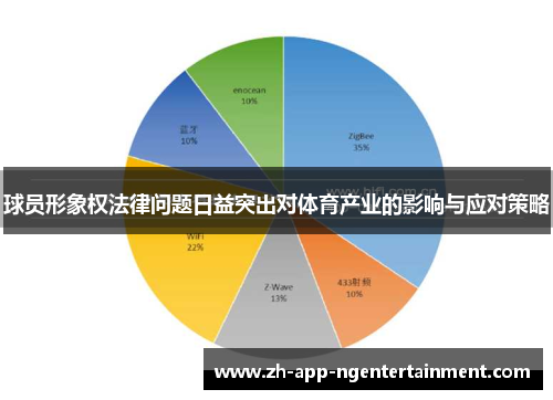 球员形象权法律问题日益突出对体育产业的影响与应对策略 球员形象权法律问题日益突出对体育产业的影响与应对策略
